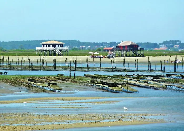 Terre Et Mer-1 By Interhome Daire